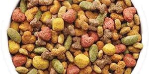Dog Food