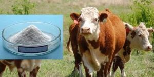 Animal Vitamin E Supplement