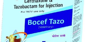 Bocef Tazo Injection