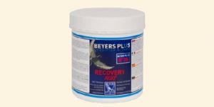 RECOVERY PLUS Protein Supplement
