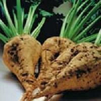 Beet Sugar Europe Origin