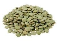 Green Lentils