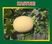Kasturi Hybrid Muskmelon Seeds