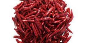 Dried Red Chilli