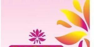 Non Woven Loop Handle Bags