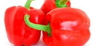Fresh Red Capsicum