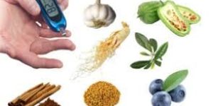 Diabetes Herbs