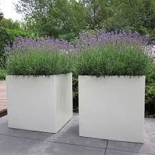 Light Weight Planters