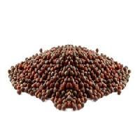 Kalash Broccoli Fiesta Hybrid Seeds