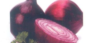 Black Cover Onion Seeds