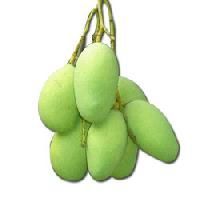 Raw Mango