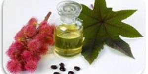 Commercial Grade Castor Oil