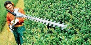 STIHL Extended Lenght Hedge Trimmers