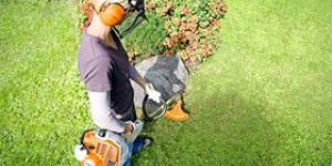 STIHL Light Brushcutters