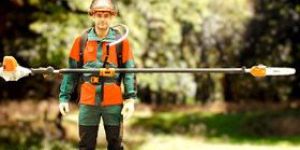 the STIHL Pole Pruners