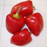 Pimento