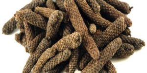 Long Pepper