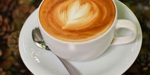 Cappuccino Premix Powder