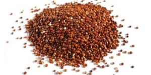 Organic Red Quinoa