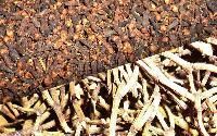 Cloves Stems