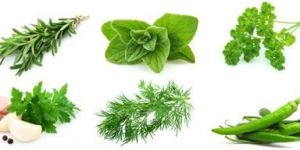 Green Spice Extracts