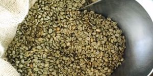 Green Coffee