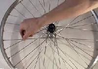 Bicycle Spokes