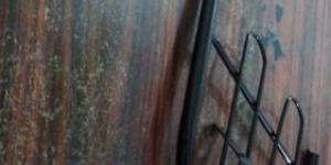 Right Hand Beg Jali Splendor