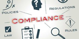 Company Compliance under Act 2013