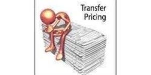Domestic Transfer Pricing Consultancy