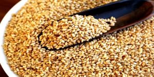 Sesame Seeds