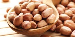 Peanut Kernels