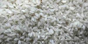 Aromatic Joha Rice