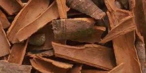 Himalayan Cinnamon