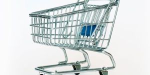 Trendy Shopping Wheels