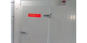 Walk in Incubation Room