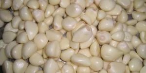 Fresh Peeled Garlic