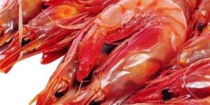 Red Prawns