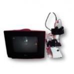 Metallurgical Microscope with CCTV