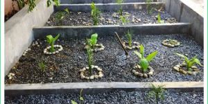 Waste Water Management