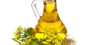 Organic Mustard Seed Oil