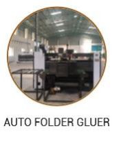 Auto Corrugated Carton Folding Service