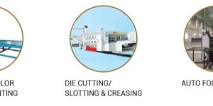 Printing, Die Cutting & Auto Folding