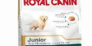 Royal Canin Golden Retriever Junior