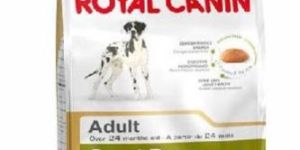 Royal Canin Great Dane Adult
