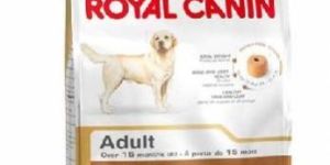 Royal Canin Labrador Adult