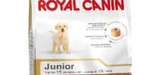 Royal Canin Labrador Junior