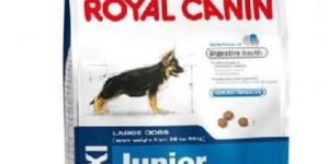 Royal Canin Maxi Junior
