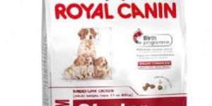 Royal Canin Medium Starter