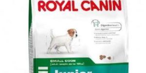 Royal Canin Mini Junior